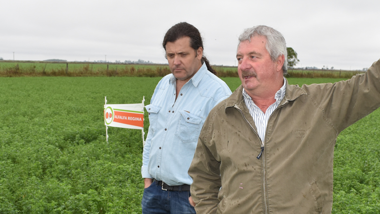 Un sistema lechero con un 70% base alfalfa