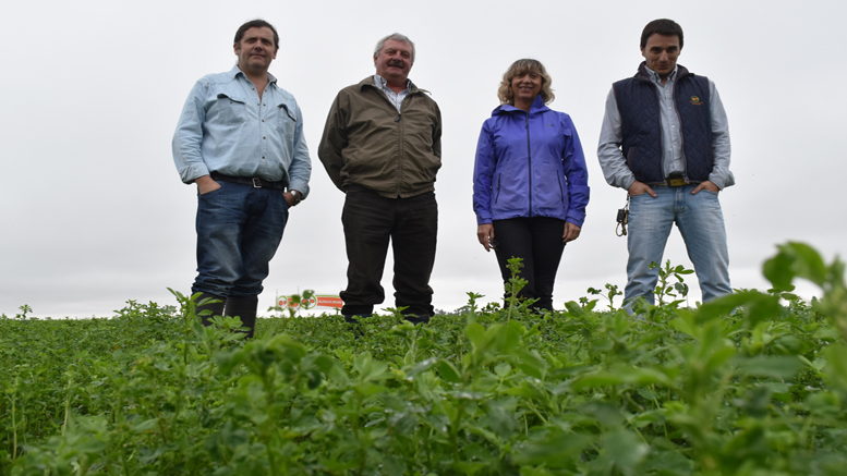 Las alfalfas y pasturas Pemán se hacen fuertes en el centro-oeste de Córdoba