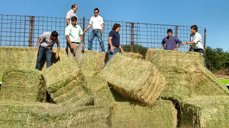 Entregan megafardos de alfalfa a productores afectados por sequía en Neuquén