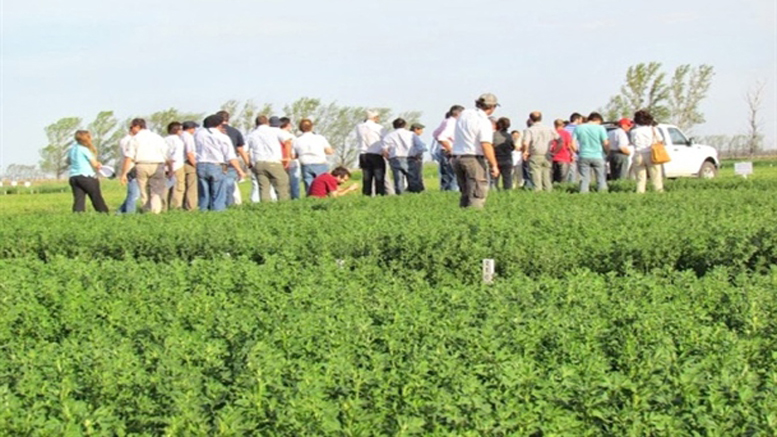 Jornada forrajera a campo en la Escuela Inchausti