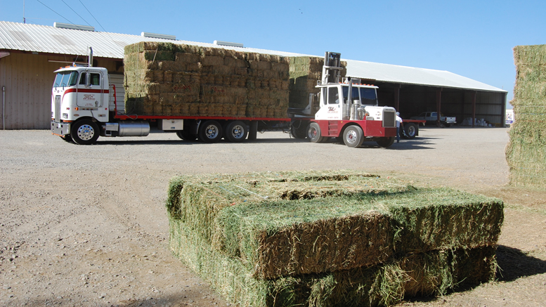 Gentos evalúa tecnologías de punta en alfalfa de EE.UU