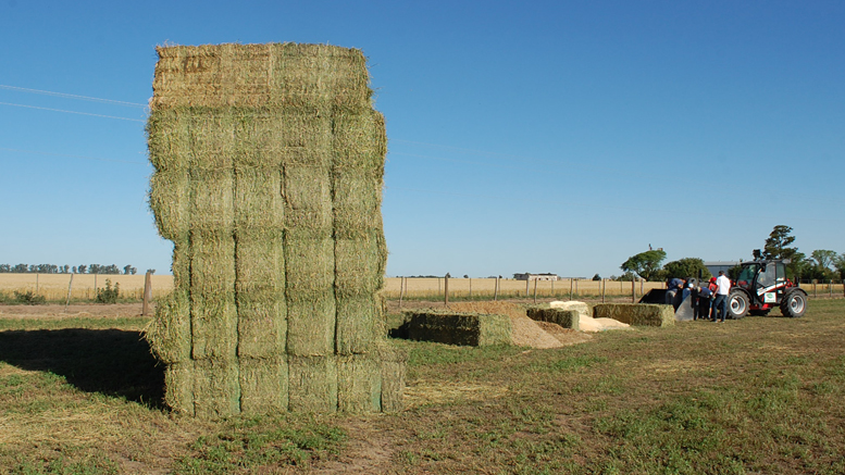 La exportación de megafardos de alfalfa suma argumentos para crecer