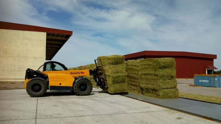 San Luis reactivó el tren de cargas con un envío de alfalfa que se exportará