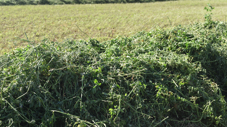 32 % menos de pasto para enfrentar el invierno 2018