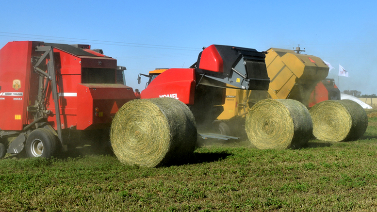 Los rollos seguirán ocupando un papel central en la oferta alfalfera argentina