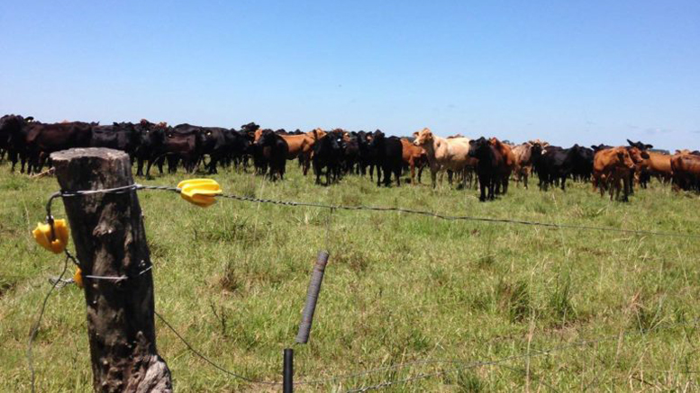 Toma de tierra: qué tener en cuenta para lograr los mejores resultados