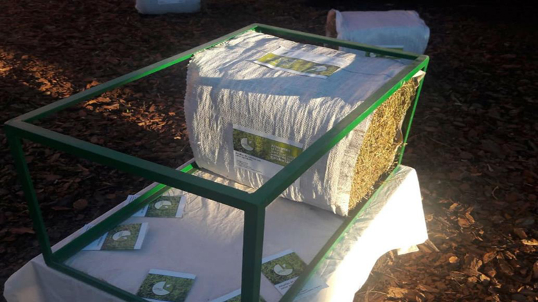 El negocio de la producción sustentable de alfalfa bajo riego