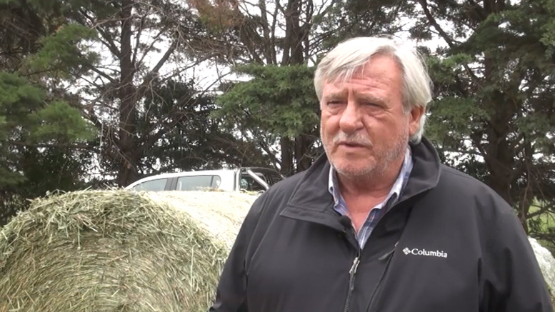 Palo Verde lanzó su precampaña de alfalfa 2019 con importantes novedades