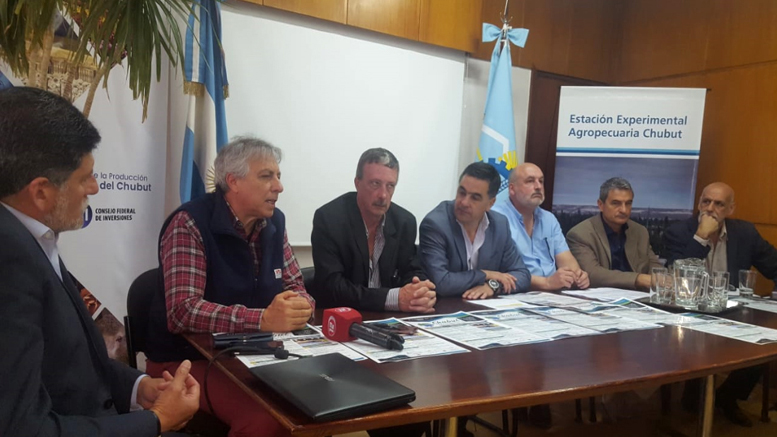 La alfalfa será protagonista en Chubut Agroproductiva 2018