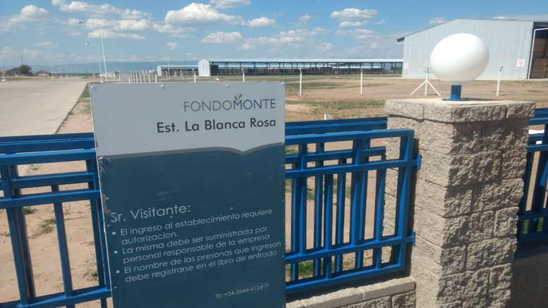 La saudí Almarai anunció que “importará” el 100% de alfalfa y forrajes que necesita