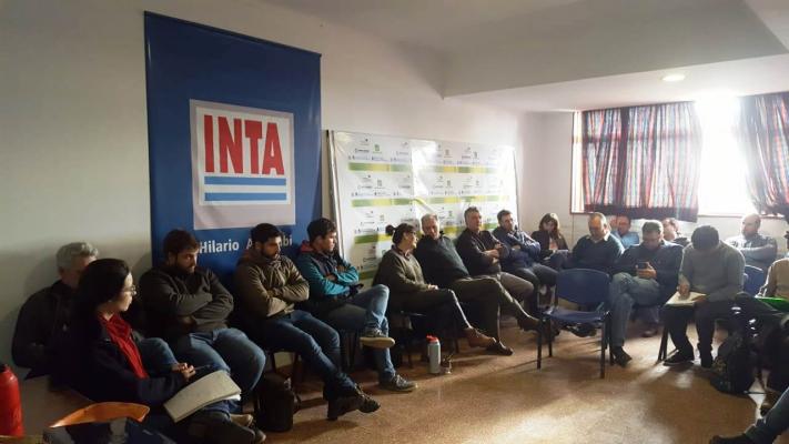 Analizaron los alcances de la liberación comercial en el país de la primera alfalfa transgénica