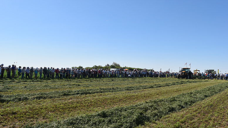 Las Jornadas Nacionales de Alfalfa 2019, con fecha confirmada