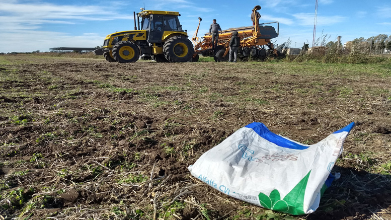 Santa Fe Centro: La alfalfa se siguió sembrando en junio