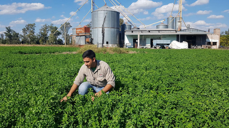 Presentan un prototipo de secadora móvil para alfalfa