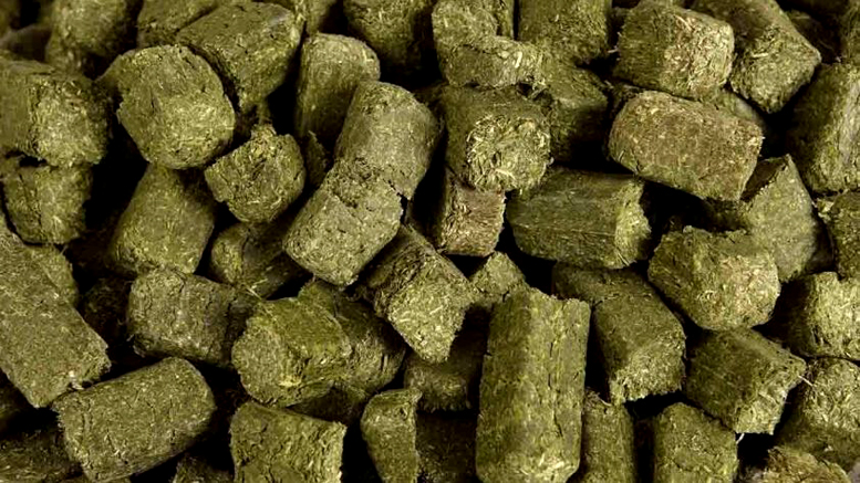 Cubos de alfalfa: Quiénes juegan en el mercado y las perspectivas del negocio