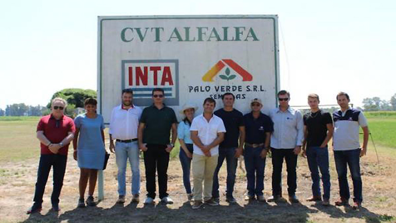 Productores brasileros visitaron el INTA Manfredi para capacitarse en alfalfa