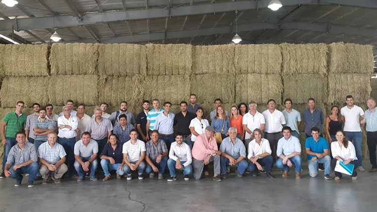 San Luis apuesta fuerte a la alfalfa con un proyecto a 10 años