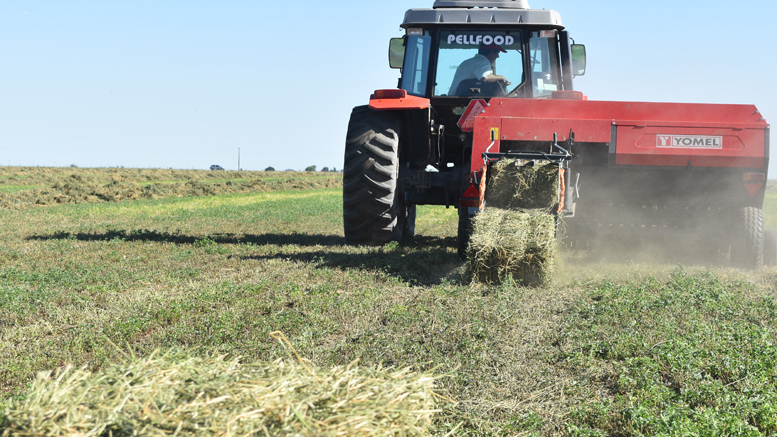 Evaluación económica de la campaña de henificación de alfalfa 2022