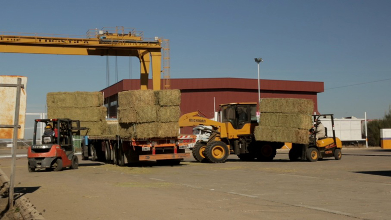Explican a productores cómo introducirse en el mercado de exportación de alfalfa