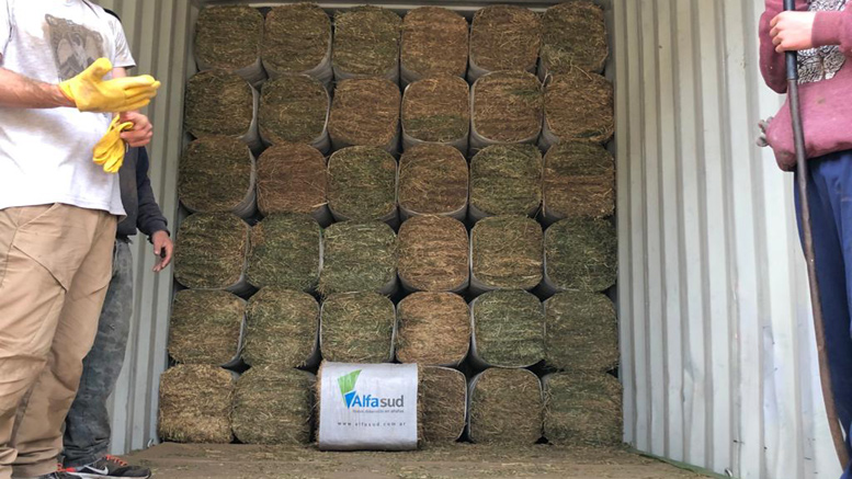 Alfalfa recompactada con destino a Aruba