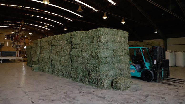 Se puso en marcha una nueva planta de procesamiento de alfalfa en San Juan