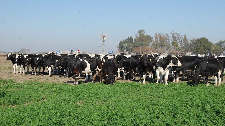 Leve recuperación de las pasturas en el área central de Santa Fe