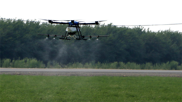 Analizan el uso de drones para controlar plagas en alfalfa
