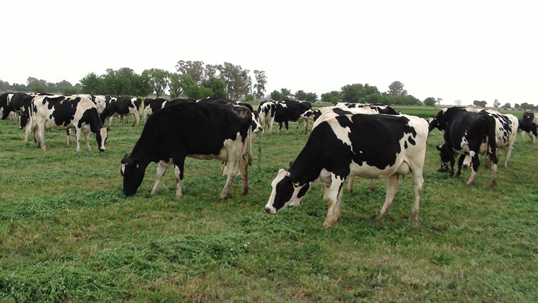 Principios básicos para el descanso otoñal en el manejo de alfalfa