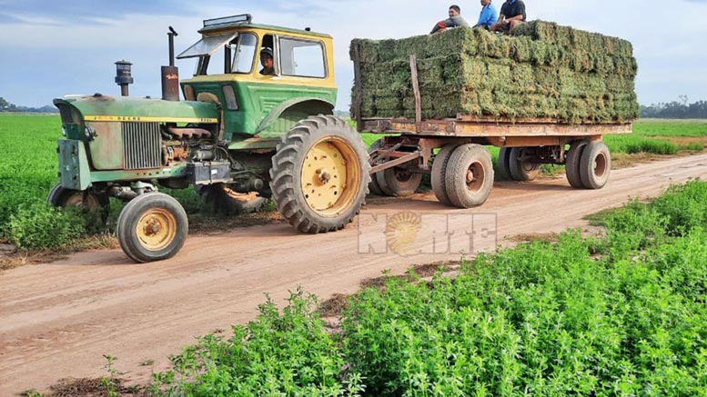 La mujer juega de igual a igual en la producción de alfalfa