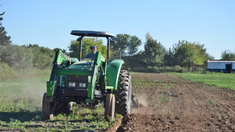 Valle Fértil busca triplicar su cultivo de alfalfa