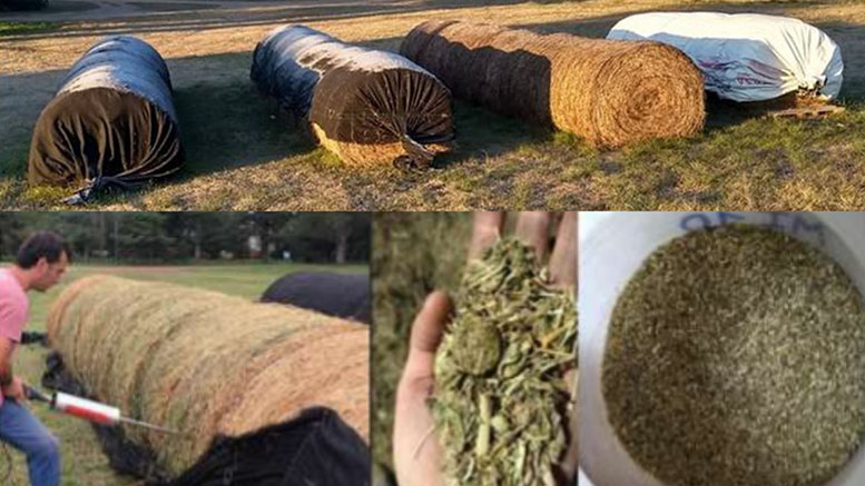 Mejoran el almacenamiento de heno de alfalfa con una manta siliconada de uso industrial