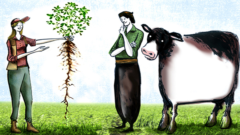 Alerta urea, recomiendan poner el foco en la alfalfa