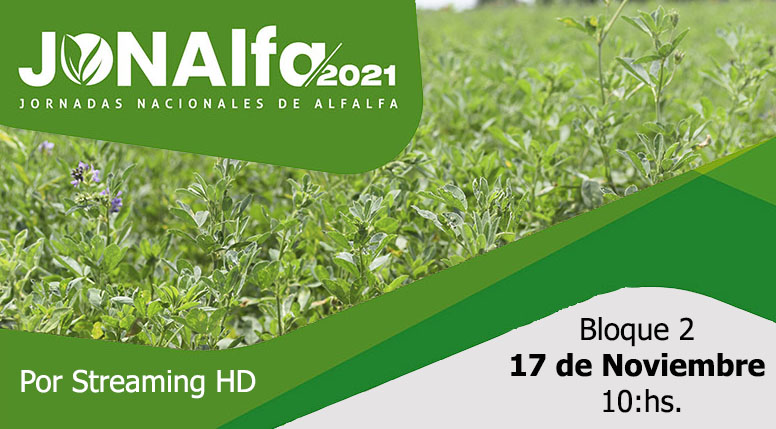 Las JONAlfa 2021 ponen segunda
