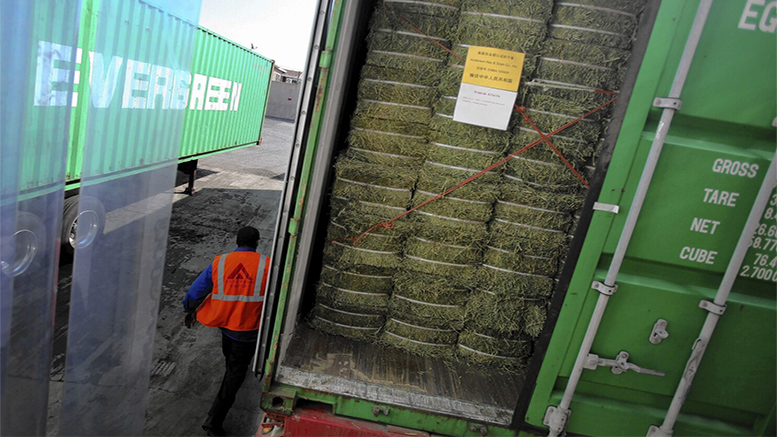 Exportaciones de heno de alfalfa marca récord en EE.UU