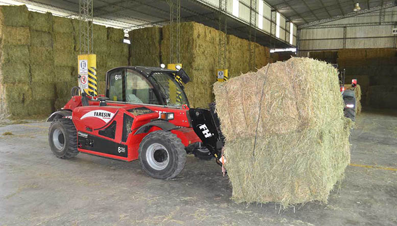 Megafardos premium de exportación: un mercado que no tiene techo para la Argentina