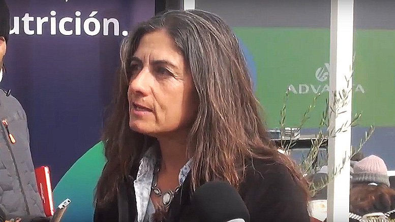 Por falta de manejo y fertilización, las pasturas están produciendo al 50%