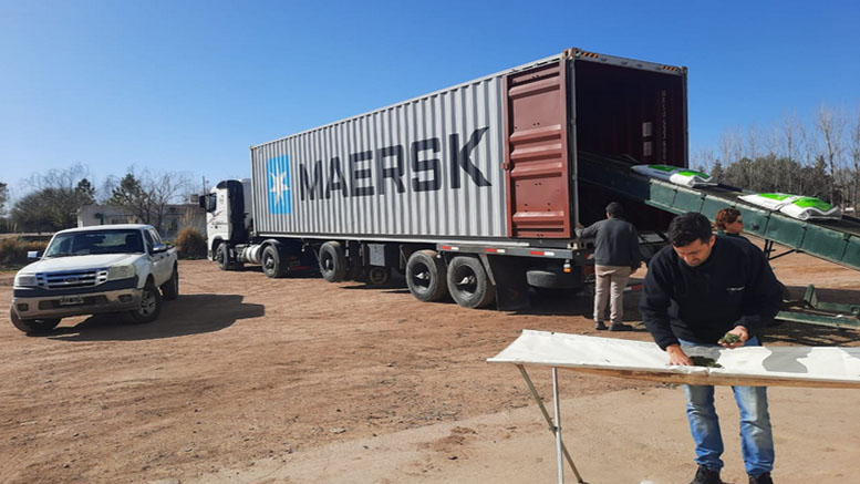 Más de 80 toneladas de pellets de alfalfa con destino a Panamá