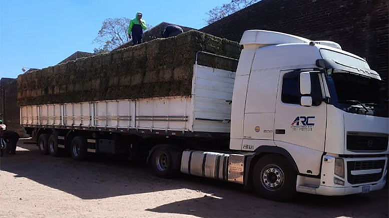 Parte a Santa Cruz de la Sierra la primera carga de alfalfa chaqueña