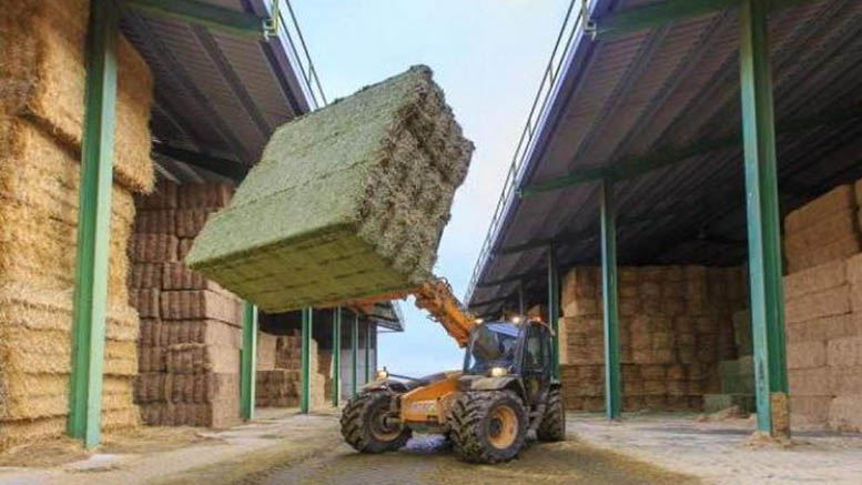 La alfalfa aragonesa, un cultivo que es la leche