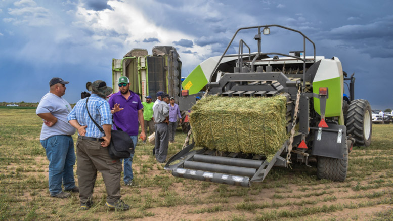 En marzo se realizará la Expo Alfalfa en San Luis