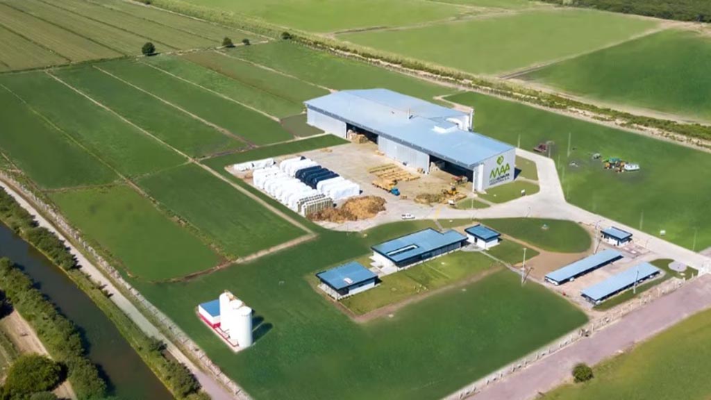 Desde Santiago del Estero se exporta alfalfa al mundo