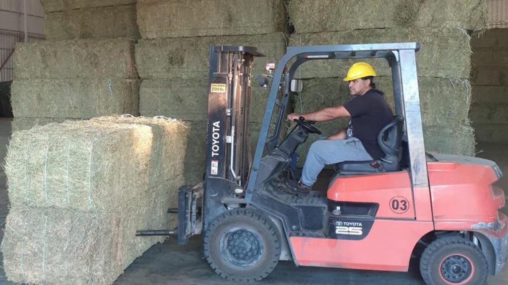 En San Luis se certificó la exportación de 495 tn de alfalfa con destino a Arabia Saudita