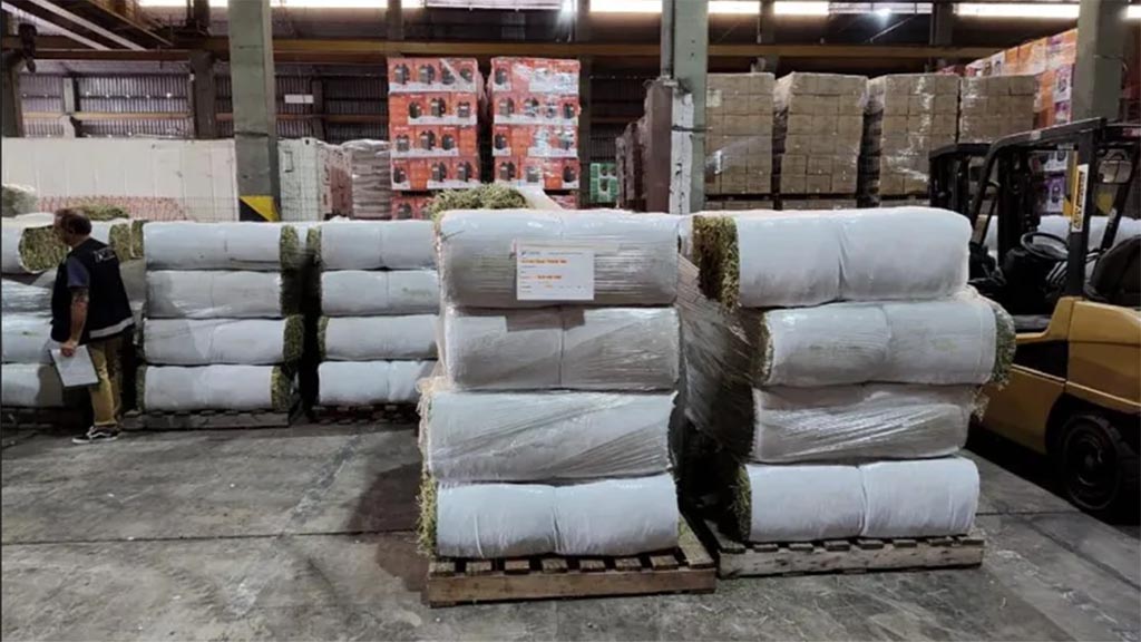 Alfalfa Mundial: sale la primera exportación desde el interior chaqueño rumbo a Qatar