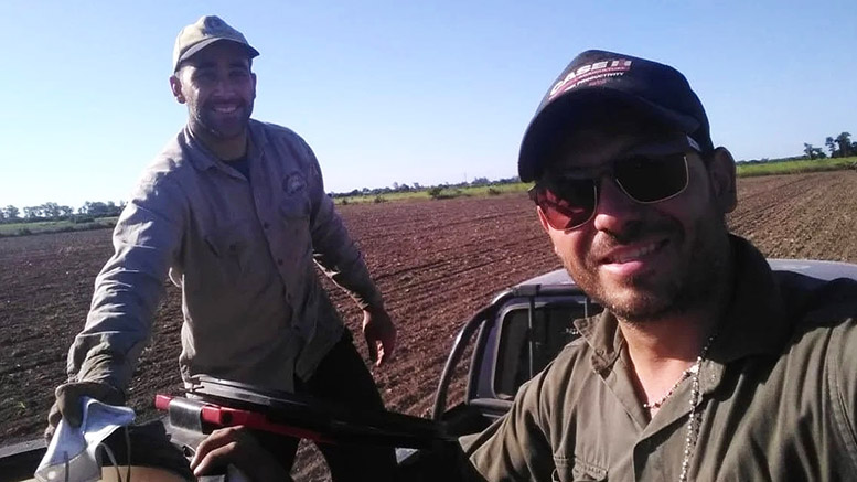 Cómo producir alfalfa a bajo costo en la sequía