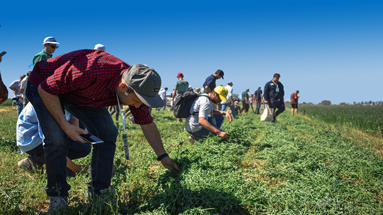 La ExpoAlfalfa 2023, enfocada en la producción y comercialización