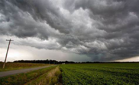 La lluvia… ¿Para cuándo?