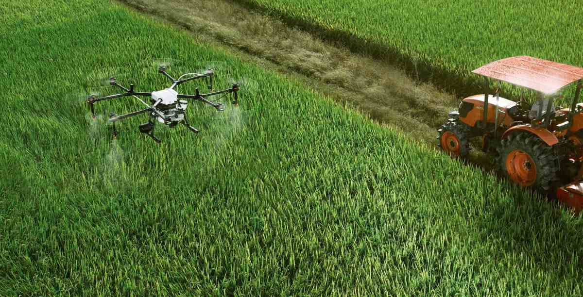 Alfalfa: con tecnología de precisión permiten ganar más kilos de carne