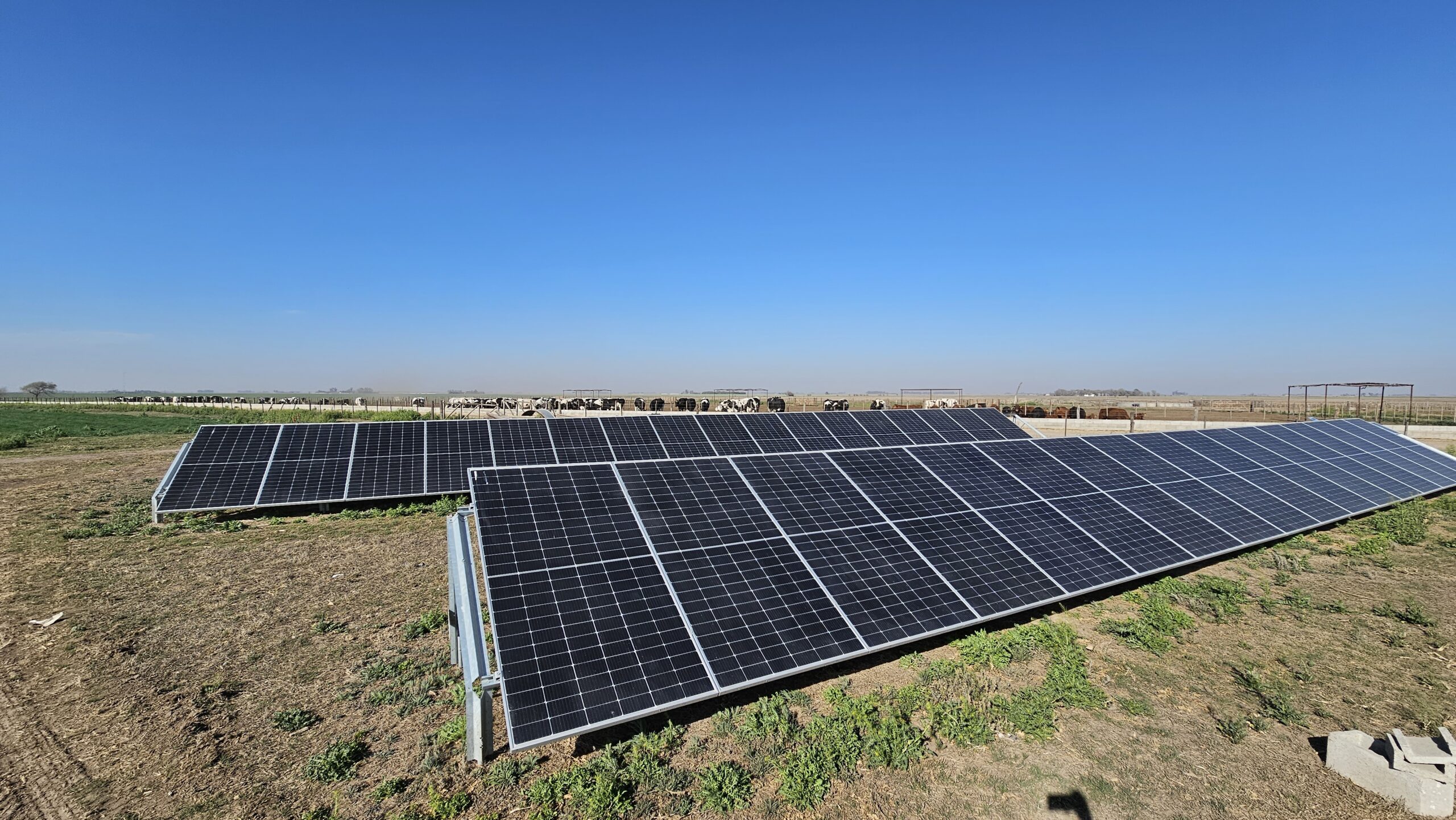 Riego por goteo solar: más eficiencia, más producción