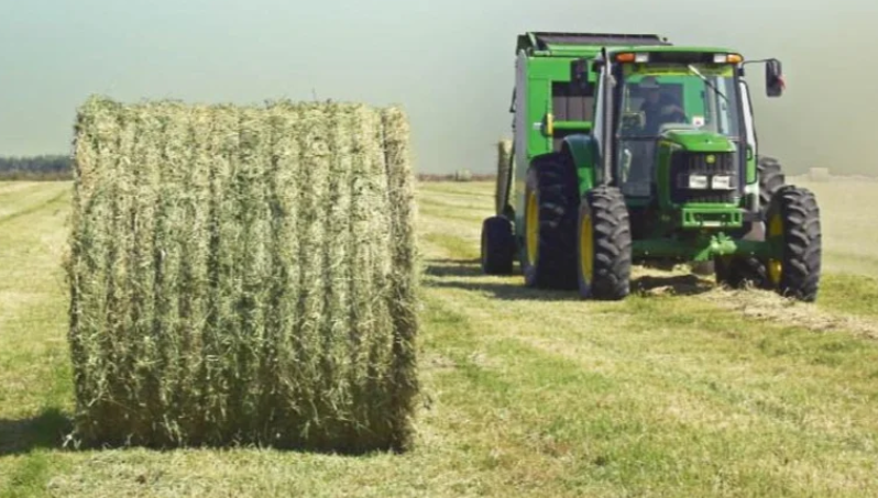 Jornada para mejorar la henificación de la alfalfa en San Luis