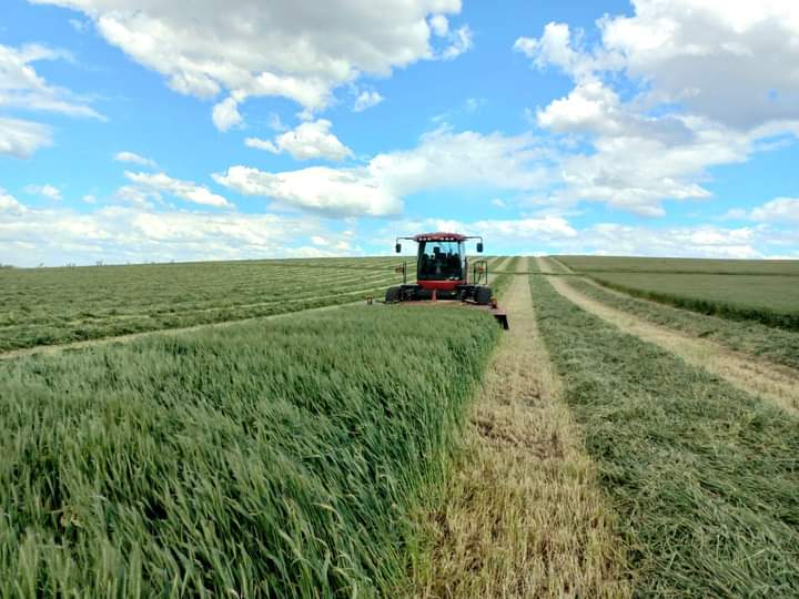 Sortear la crisis y sostener la producción de alfalfa
